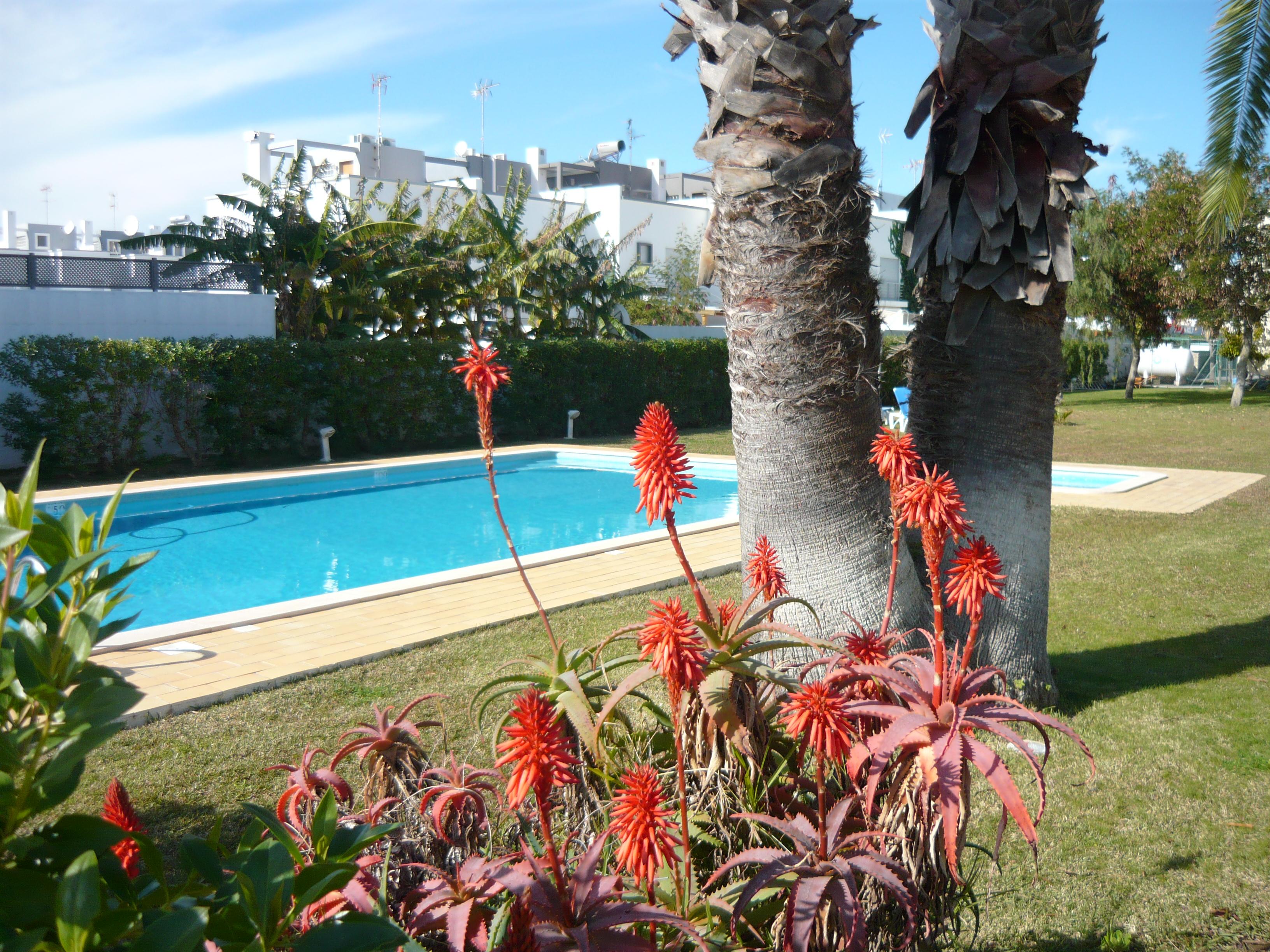 Praia Da Lota Resort - Beachfront Hotel Manta Rota Exterior photo